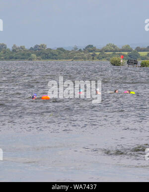 Isola di Oxford, Lough Neagh, Irlanda del Nord, Regno Unito. 18 agosto 2019. Regno Unito - previsioni del tempo - dopo forti thundery docce questa mattina la moderata di sud-ovest che il vento ha portato le magie di sole con cloud variabile in tutta l'Irlanda del Nord questo pomeriggio. Aprire l'acqua nuotatori sulle acque increspato di Lough Neagh. Credito: David Hunter/Alamy Live News. Foto Stock