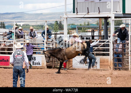 Un cowpoke non resta molto tempo a bordo di questo strappi bronco in corrispondenza di una grande piscina rodeo che è una funzione dell'annuale (in questo caso settantacinquesimo anniversario) Giornate Giubilari festival A Laramie, Wyoming Foto Stock