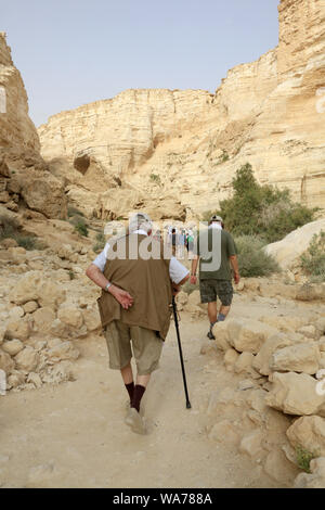 Pellegrinaggio in Terra Santa. Ein Avdat Canyon. Deserto del Negev. Israël. Foto Stock
