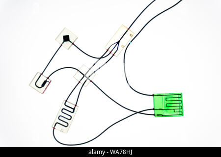 Organo-on-chip (0°C) - dispositivo microfluidico chip che simula gli organi biologico che è il tipo di organo artificiale. Prototipo di design lab-on-chip Foto Stock