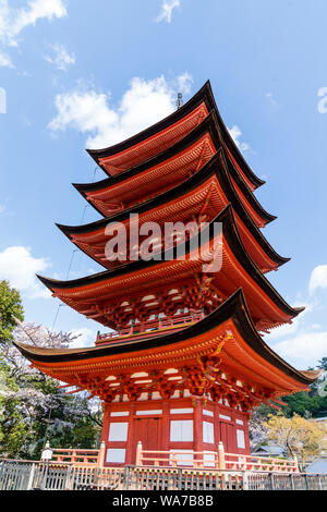 Il Giappone, l'isola di Miyajima. Lo stile giapponese rosso cinque piani pagoda, Gojunoto, con fiori di ciliegio alberi in primo piano e il blu cielo dietro. Foto Stock