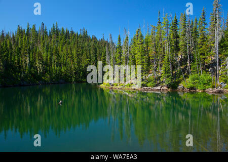 Primo Lago, Lago Ollalie Scenic Area, Mt Hood National Forest, Oregon Foto Stock