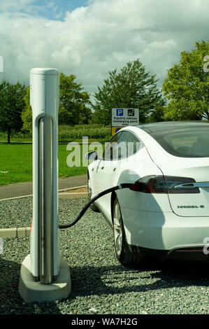 Tesla veicolo elettrico punti di ricarica. Freccette Farm, Topsham Devon UK Foto Stock