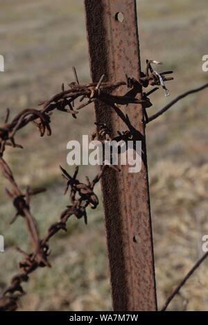 Filo spinato nell'Outback australiano Foto Stock