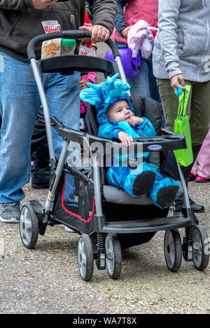 Ottobre 27, 2018 Coloma MI USA; un grazioso piccolo bambino in un dinosauro blu costume gode di essere spinto nel suo passeggino in un esterno di evento di Halloween Foto Stock