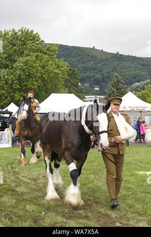 cavallo e soldato di ritorno dalla guerra con ferite Foto Stock