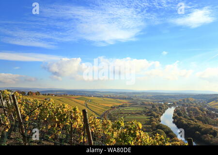 Volkach è un ben noto regione viticola in Germania, in Baviera, Franconia Foto Stock