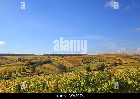 Volkach è un ben noto regione viticola in Germania, in Baviera, Franconia Foto Stock