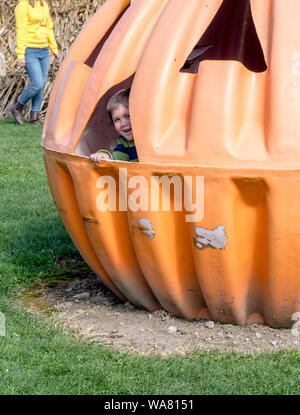 Il ragazzino guarda fuori dall'interno una gigantesca zucca di metallo ad Halloween Foto Stock