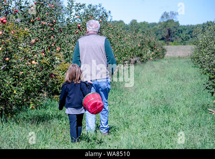 Il nonno e la nipote a piedi attraverso e frutteto pronta a raccogliere le mele Foto Stock
