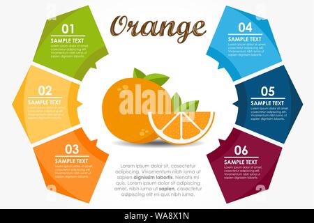 Frutti del modello proprietà nutrizionali. Cerchio arancione ed infografico. Illustrazione Vettoriale Illustrazione Vettoriale