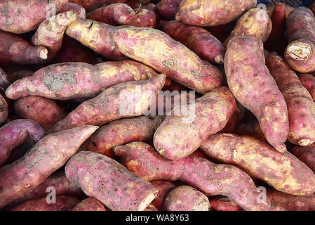 Patate dolci sul supporto del mercato Foto Stock