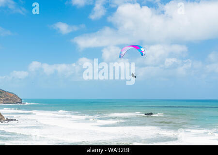 Il parapendio. Volo sopra Muriwai Beach, area di Auckland, Isola del nord della Nuova Zelanda Foto Stock