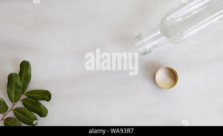 Piatto di laici un lungo vuoto bottiglia di vetro, cap e un ramo di longan foglie verdi. Foto Stock