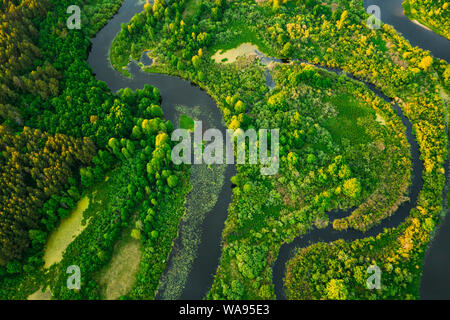 Vista aerea foresta verde di boschi e paesaggio fluviale nella soleggiata sera primaverile. Vista superiore della splendida natura europea da alto atteggiamento nella stagione estiva. Foto Stock