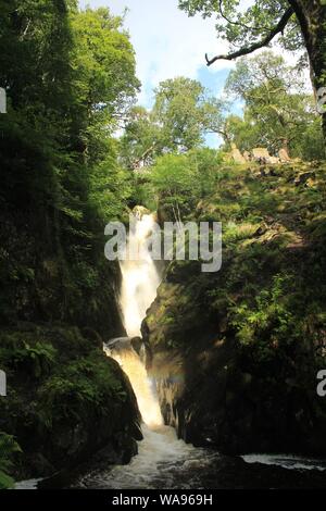 Aira Force cascata, Watermillock, vicino a Ullswater nel Lake District inglese, Cumbria Regno Unito. Foto Stock