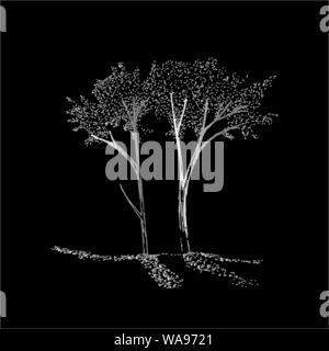 Illustrazione a colori di rami di alberi. Il gioco di luce e di ombra. Illustrazione Vettoriale