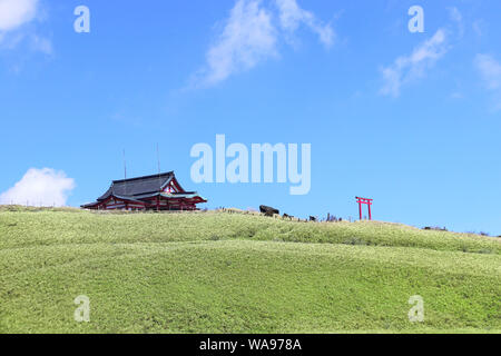 Lo Shintoismo Hakone santuario e torii gate sulla sommità del Monte Komagatake - vulcano attivo, Giappone, Asia Foto Stock