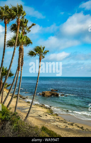 Palme lungo la riva della Laguna Beach con onde che si infrangono in formazioni rocciose in una giornata di sole, Laguna Beach in California Foto Stock