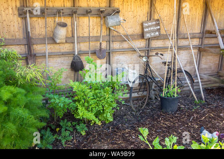 Utensili da giardinaggio appeso sulla scherma di canna, con piante e girare intorno a. Foto Stock