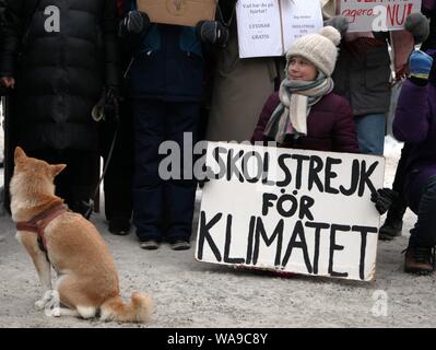 Archiviato - 01 febbraio 2019, Stoccolma, Svezia: Il 16-anno-vecchio svedese Greta Thunberg dimostra di fronte al Reichstag a Stoccolma per di più la protezione del clima con un poster con la scritta "kolstrejk per Klimatet' (scuola sciopero per il clima). Il 20 agosto 2018, la scolaretta svedese Greta Thunberg seduto di fronte al Reichstag di Stoccolma a protestare per il clima. La scuola silenziosa sciopero di un 15-anno-vecchio ragazzo ha da lungo tempo diventare un clima internazionale movimento di protezione con migliaia e migliaia di sostenitori in tutto il mondo. Foto: Steffen Trumpf/dpa Foto Stock