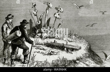 Spedizione svedese al Polo Artico. Il Professor Nordenskiöld e dottore Lundstrom, eminente botanico, visitando un altare dei sacrifici dei Samoiedo indiani. Costa della Siberia. Led Nordenskiöld la spedizione. Nel 1875, a bordo del "provata" yacht a vela, Adolf Erik Nordenskiöld (1832-1901) ha navigato attraverso il Mare di Kara alla foce del fiume Yenisei, da dove tornò in Svezia grazie a San Pietroburgo, mentre Kjellmann, uno dei suoi compagni, arrivati al porto norvegese di Hammerfest a bordo del "provata" . Incisione. La Ilustracion Española y americana, 8 marzo 1876. Foto Stock