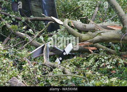 Langen, Germania. 19 Ago, 2019. Albero cade giacciono su la principessa Margaret Avenue nella parte ovest della città. La sera prima di una tempesta ha colpito la città. Credito: Frank Rumpenhorst/dpa/Alamy Live News Foto Stock