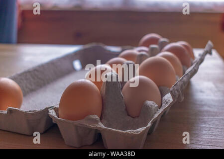 Crudo fresco uova allineate in una fila in un cartone confezione di uova Foto Stock