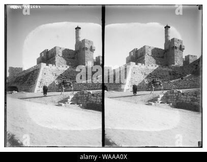 Cittadella di Sion. Gerusalemme. Un cammello Foto Stock