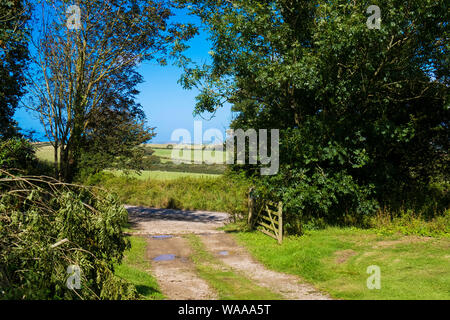 Il Cornish campagna vicino a Newquay Cornwall. Foto Stock