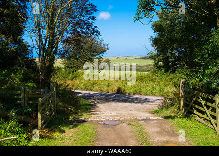 Il Cornish campagna vicino a Newquay Cornwall. Foto Stock