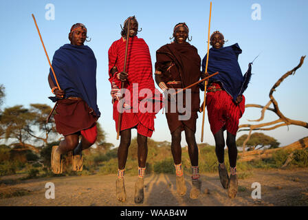 Jumping Guerrieri Maasai in una danza tradizionale in Loitoktok, Kenya. Foto Stock