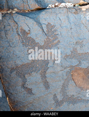 Grotta di antichi dipinti e incisioni rupestri nel selvaggio Foto Stock