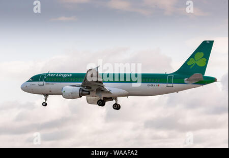 Aeroporto di Cork, Cork, Irlanda. 19 Agosto, 2019. Un Aer Lingus un aeromobile di tipo Airbus A320 attorno alla terra dopo il suo breve volo da Amsterdam in Cork Airp Foto Stock