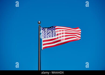 Star lamas banner, bandiera nazionale degli Stati Uniti d'America al vento, America del Nord Foto Stock