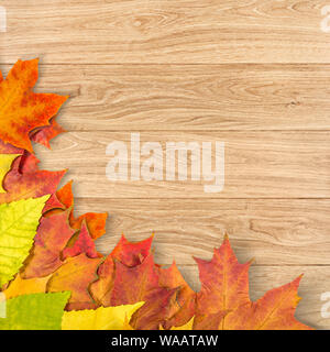 Foglie di autunno come un telaio Foto Stock