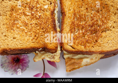 Pane marrone frittata servita a sandwich in piastra bianca. Foto Stock