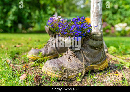 Un paio di scarpe vecchie con piante come decorazione in un giardino Foto Stock