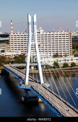 Giappone, Honshu, Tokyo, Toyosu, Shinonome, Tatsuma Sakurabashi Bridge, 30076493 Foto Stock