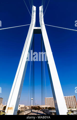 Giappone, Honshu, Tokyo, Toyosu, Shinonome, Tatsuma Sakurabashi Bridge, 30076498 Foto Stock