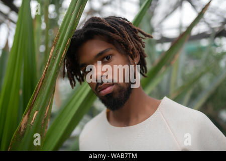 Bel giovane con dreadlocks in piedi vicino a Palm tree Foto Stock
