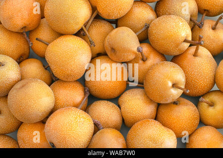 Sfondo pieno di freschi o Nashi Asian pere. Vista aerea di deliziosi piatti e prodotti organici frutti, full frame. Foto Stock