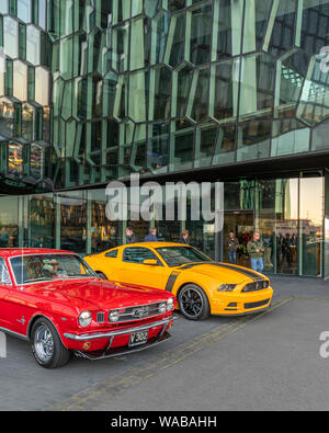 Mustangs sul display, Giorno di indipendenza, Reykjavik, Islanda Foto Stock