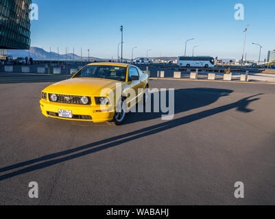 Mustangs sul display, Giorno di indipendenza, Reykjavik, Islanda Foto Stock