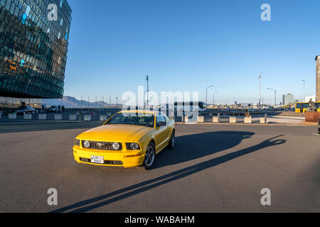 Mustang sul display, Giorno di indipendenza, Reykjavik, Islanda Foto Stock