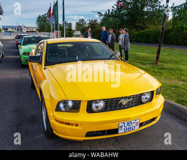 Mustang sul display, Giorno di indipendenza, Reykjavik, Islanda Foto Stock