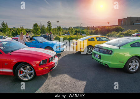 Mustangs sul display, Giorno di indipendenza, Reykjavik, Islanda Foto Stock