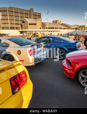 Mustangs sul display, Giorno di indipendenza, Reykjavik, Islanda Foto Stock