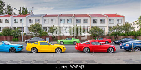 Mustangs sul display, Giorno di indipendenza, Reykjavik, Islanda Foto Stock