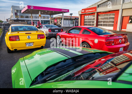 Mustangs sul display, Giorno di indipendenza, Reykjavik, Islanda Foto Stock